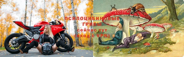 ALPHA-PVP Дмитров