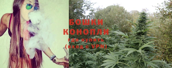 круглые Дмитриев