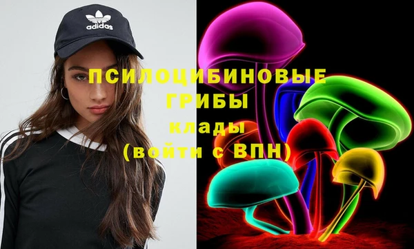 круглые Дмитриев